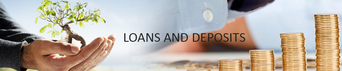 The Banning of Unregulated Deposit Schemes Ordinance, 2019